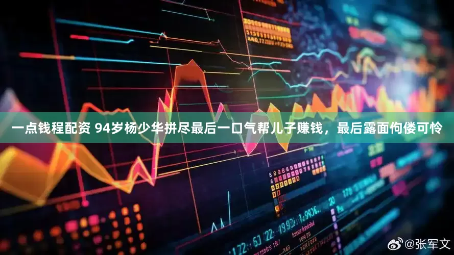 一点钱程配资 94岁杨少华拼尽最后一口气帮儿子赚钱，最后露面佝偻可怜